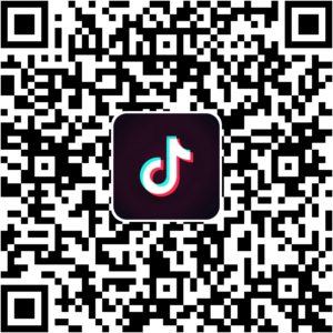 抖音小程序